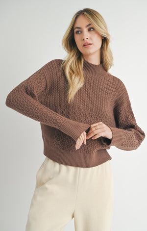 SADIE AND SAGE Women's Sweaters Sadie And Sage Liss Turtleneck Sweater Brown || David's Clothing