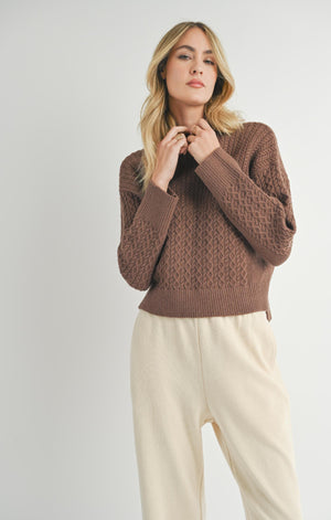 SADIE AND SAGE Women's Sweaters Sadie And Sage Liss Turtleneck Sweater Brown || David's Clothing