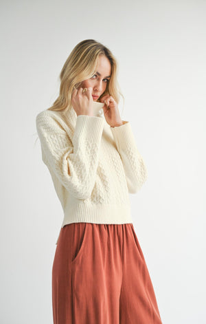 SADIE AND SAGE Women's Sweaters Sadie And Sage Liss Turtleneck Sweater || David's Clothing